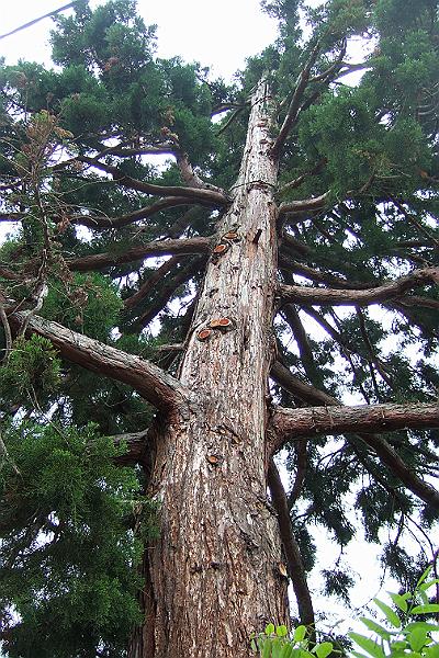 2010-06- (71).JPG